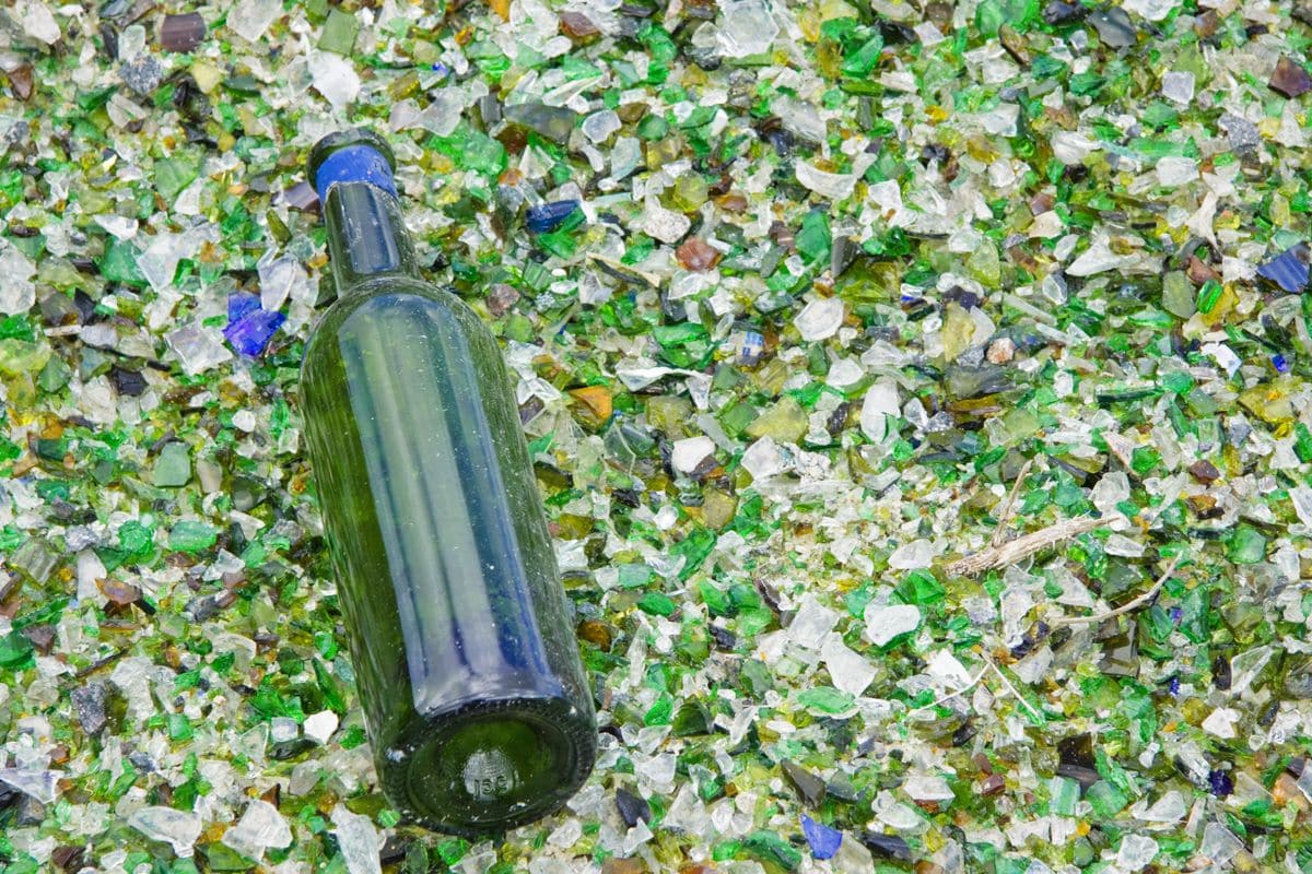 Survivor at the Glass Recycling Plant